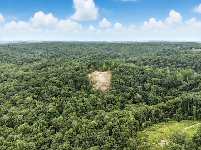 1097 Paiute Trl, Pegram, TN 37143 - photo 3