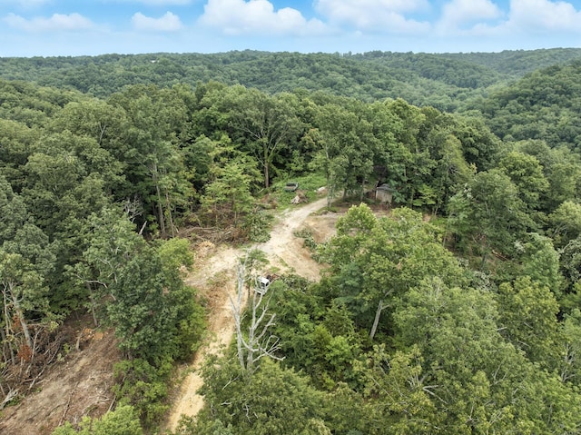 1097 Paiute Trl, Pegram, TN 37143 - photo 20