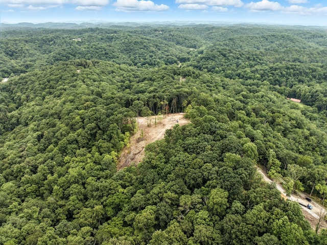 1097 Paiute Trl, Pegram, TN 37143 - photo 15