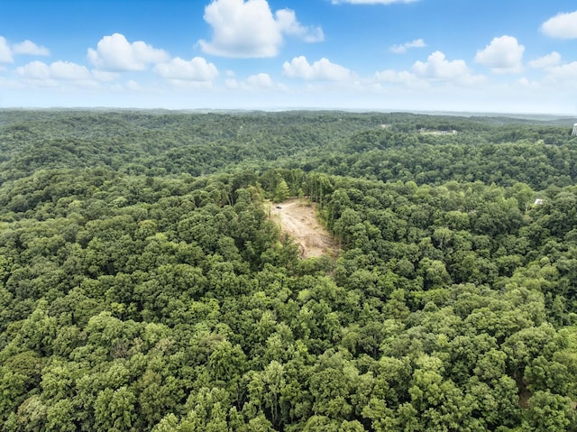 1097 Paiute Trl, Pegram, TN 37143 - photo 16