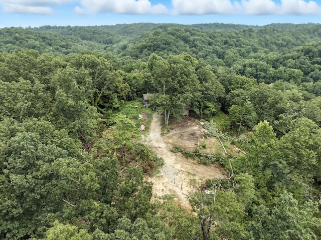 1097 Paiute Trl, Pegram, TN 37143 - photo 19