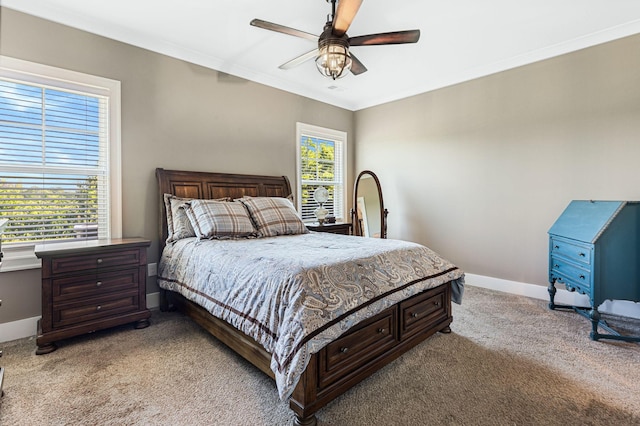 522 Mcchrystal Dr, Murfreesboro, TN 37129 - photo 22