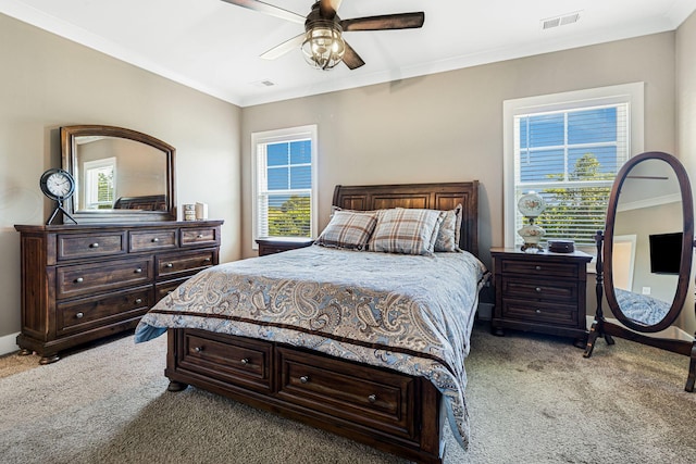 522 Mcchrystal Dr, Murfreesboro, TN 37129 - photo 23