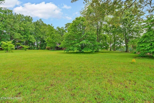 0 S York Hwy, Jamestown, TN 38556