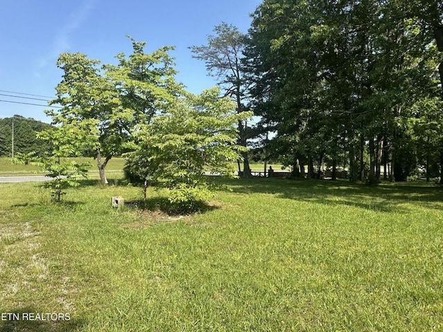 0 S York Hwy, Jamestown, TN 38556