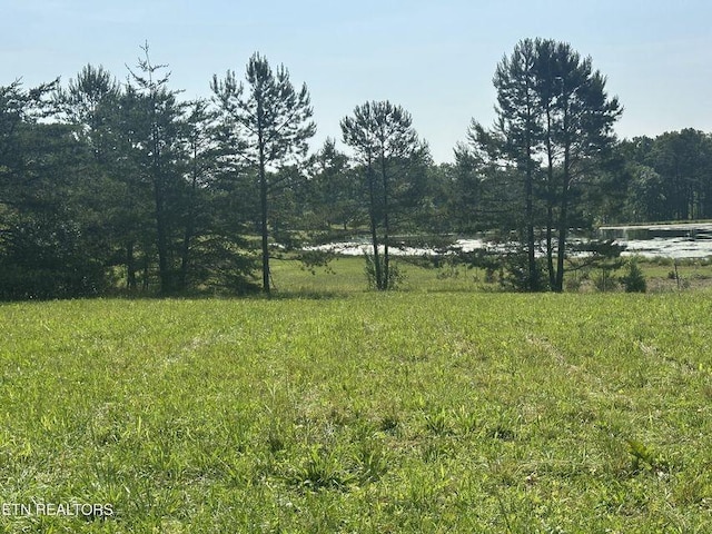 0 S York Hwy, Jamestown, TN 38556