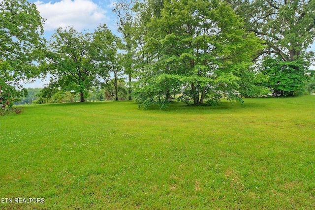 0 S York Hwy, Jamestown, TN 38556