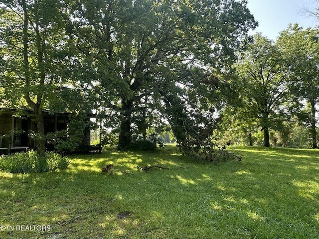 0 S York Hwy, Jamestown, TN 38556