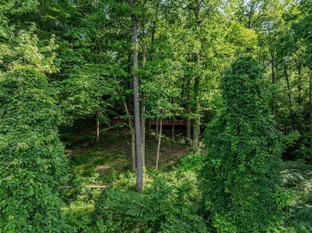 757 Oak Ridge Rd, Dyersburg, TN 38024 - photo 37