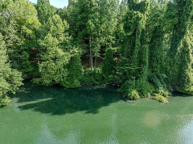 757 Oak Ridge Rd, Dyersburg, TN 38024 - photo 38