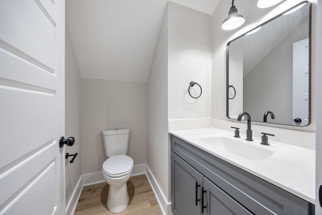 403 Boren St, Springfield, TN 37172 - bathroom with vanity, wood finished floors, and lofted ceiling