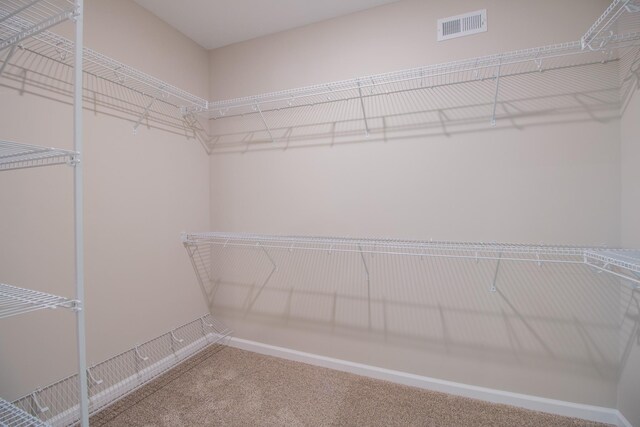 72 Sycamore Hl, Clarksville, TN 37042 - photo 16