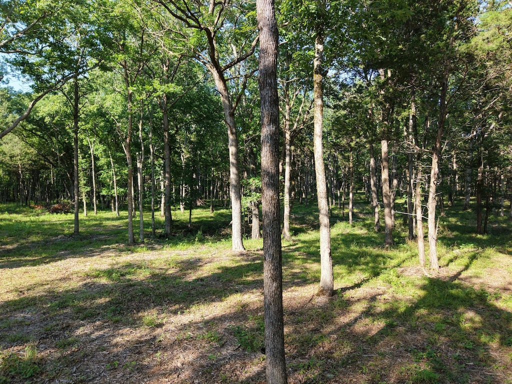 0 Millersburg Rd, Christiana, TN 37037 - photo 4
