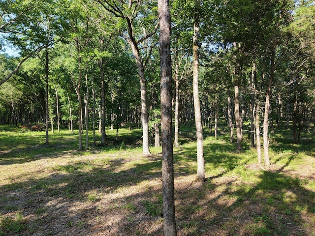 0 Millersburg Rd, Christiana, TN 37037 - photo 4
