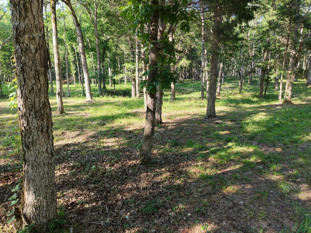 0 Millersburg Rd, Christiana, TN 37037 - photo 2