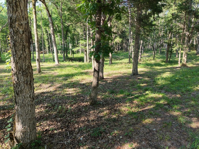 0 Millersburg Rd, Christiana, TN 37037 - photo 2