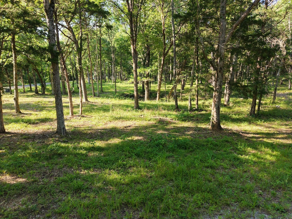 0 Millersburg Rd, Christiana, TN 37037 - photo 3