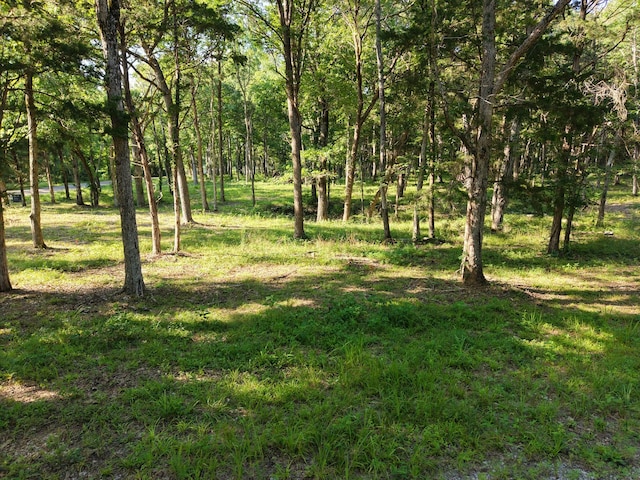 0 Millersburg Rd, Christiana, TN 37037 - photo 3