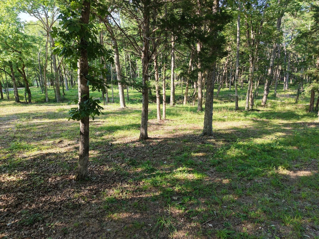 0 Millersburg Rd, Christiana, TN 37037 - photo 1