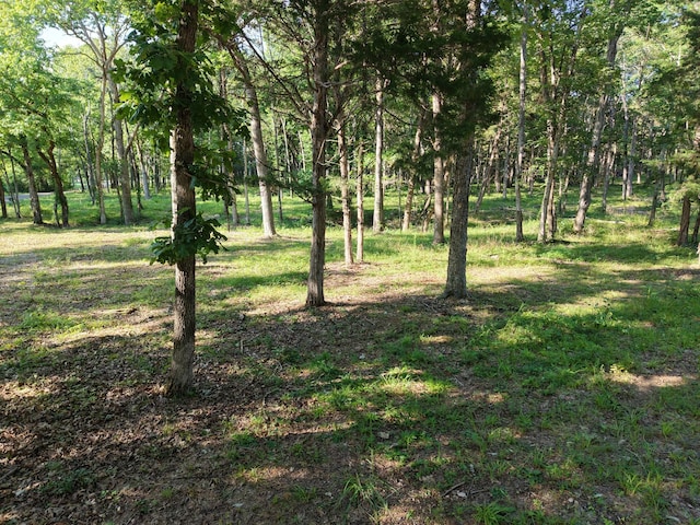 0 Millersburg Rd, Christiana, TN 37037 - photo 1