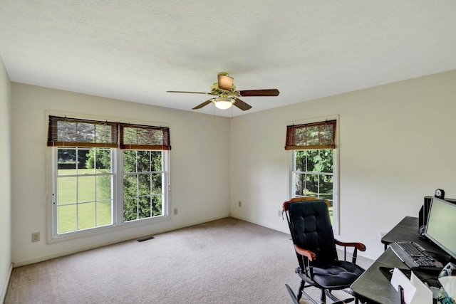 1122 Fairfield Rd, Westmoreland, TN 37186 - photo 19