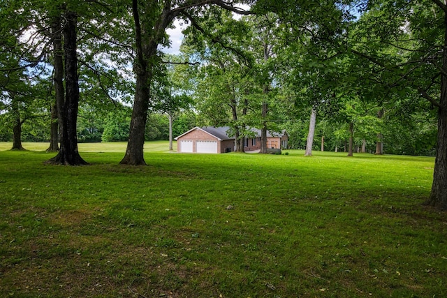 1122 Fairfield Rd, Westmoreland, TN 37186 - photo 41