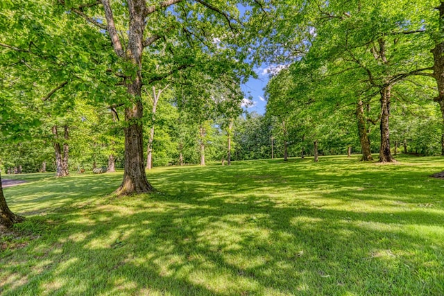 1122 Fairfield Rd, Westmoreland, TN 37186 - photo 28