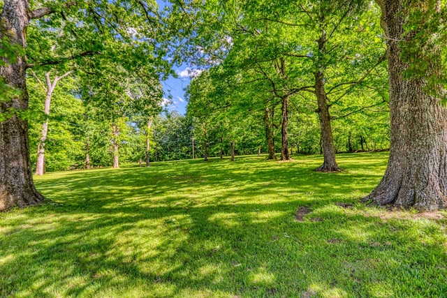1122 Fairfield Rd, Westmoreland, TN 37186 - photo 29