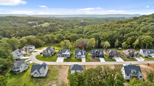 6044 Cashmere Ln, Harrison, TN 37341 - photo 45