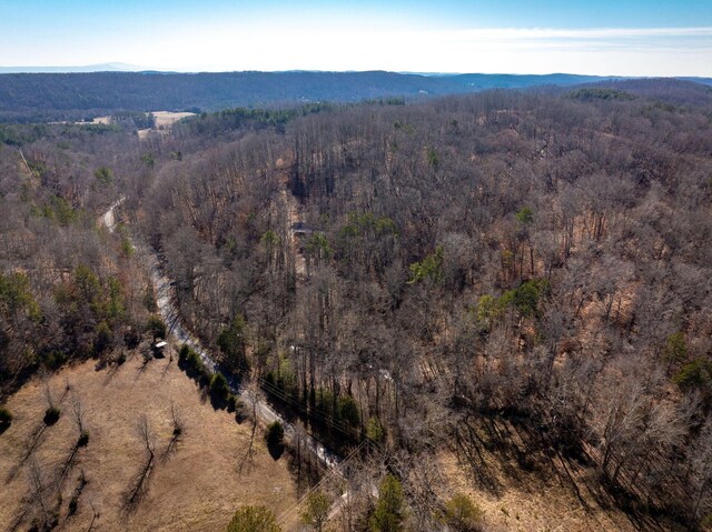 151 Hail Hollow Rd, Decatur, TN 37322 - photo 42