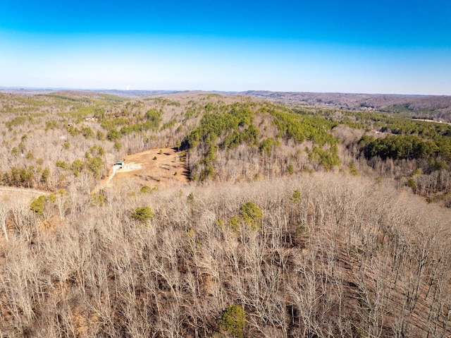 151 Hail Hollow Rd, Decatur, TN 37322 - photo 46