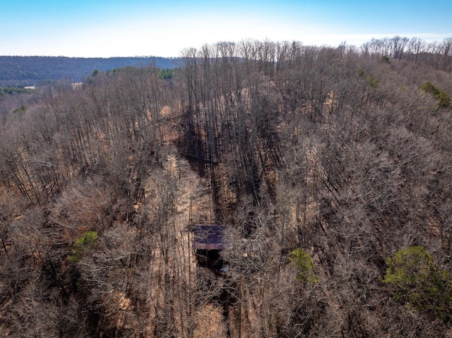 151 Hail Hollow Rd, Decatur, TN 37322 - photo 54