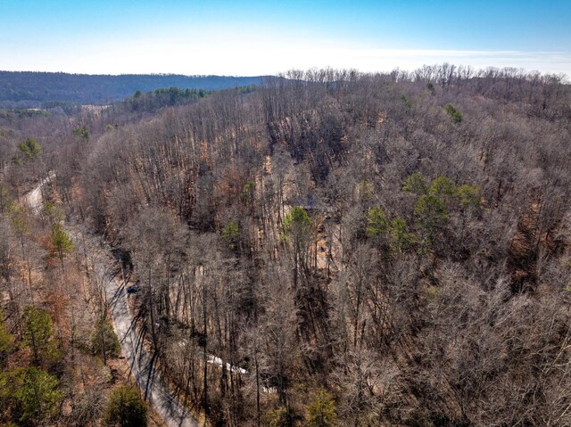 151 Hail Hollow Rd, Decatur, TN 37322 - photo 52