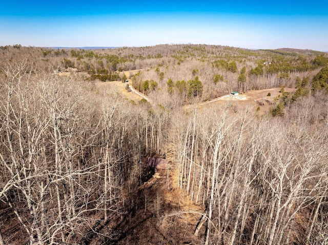 151 Hail Hollow Rd, Decatur, TN 37322 - photo 57