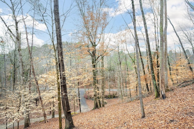151 Hail Hollow Rd, Decatur, TN 37322 - photo 34