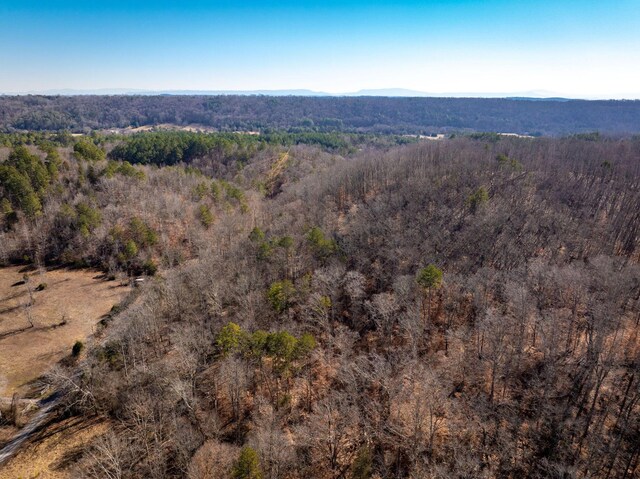 151 Hail Hollow Rd, Decatur, TN 37322 - photo 44