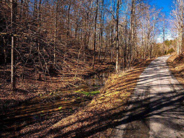 151 Hail Hollow Rd, Decatur, TN 37322 - photo 56