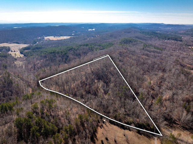 151 Hail Hollow Rd, Decatur, TN 37322 - photo 43