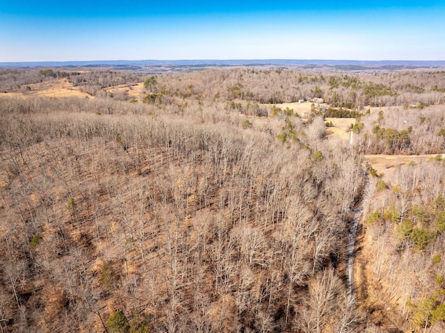 151 Hail Hollow Rd, Decatur, TN 37322 - photo 49