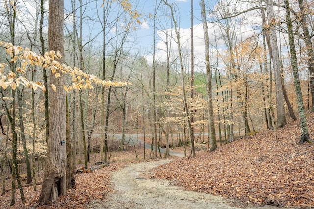 151 Hail Hollow Rd, Decatur, TN 37322 - photo 37