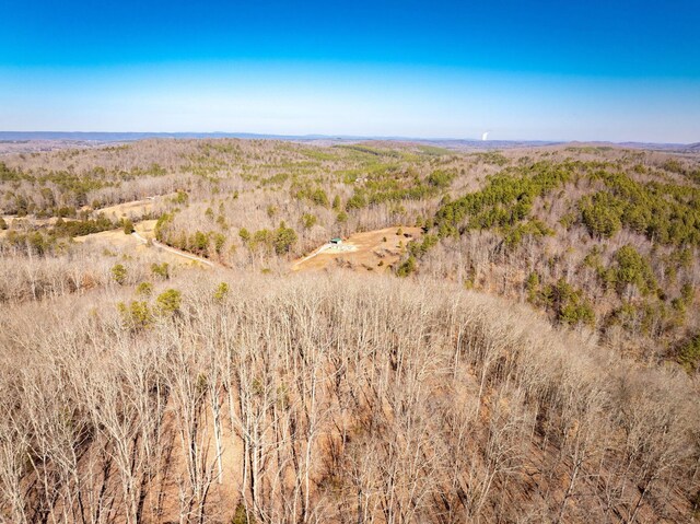 151 Hail Hollow Rd, Decatur, TN 37322 - photo 47