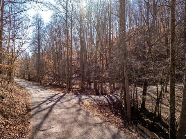 151 Hail Hollow Rd, Decatur, TN 37322 - photo 55
