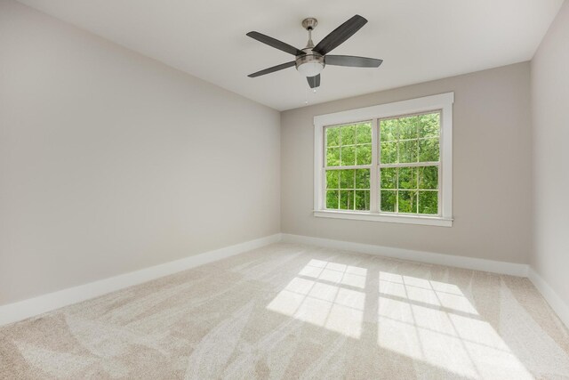 6119 Cashmere Ln, Harrison, TN 37341 - photo 14