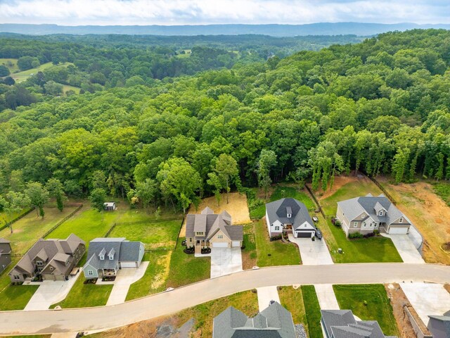 6119 Cashmere Ln, Harrison, TN 37341 - photo 33