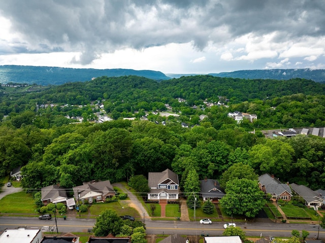 715 Forest Ave, Chattanooga, TN 37405 - bird's eye view of a forest