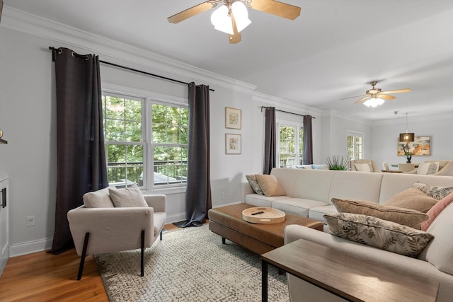 715 Forest Ave, Chattanooga, TN 37405 - living area with a ceiling fan, light wood-style floors, and crown molding