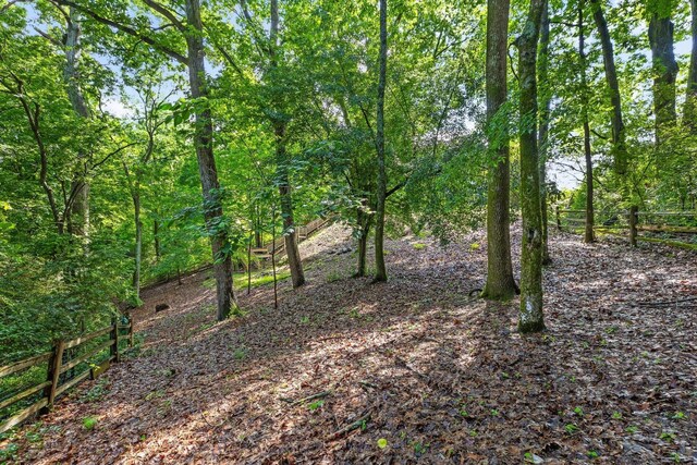 715 Forest Ave, Chattanooga, TN 37405 - view of local wilderness