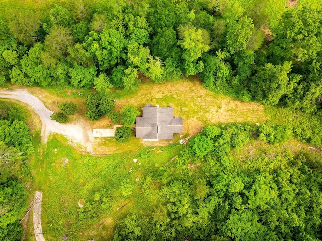 6744 Creek Rd, Wildwood, GA 30757 - photo 34