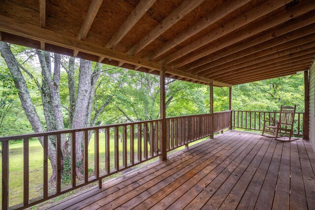 4813 Blue Bell Ave, Ooltewah, TN 37363 - photo 19
