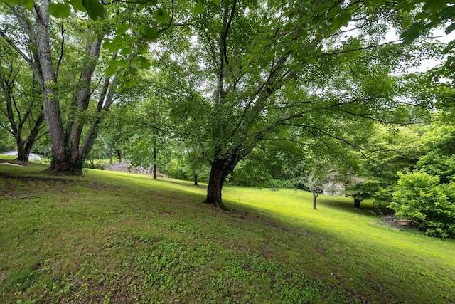 4813 Blue Bell Ave, Ooltewah, TN 37363 - photo 22